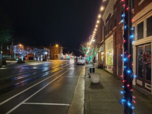 Emergency PC repair La Grange night